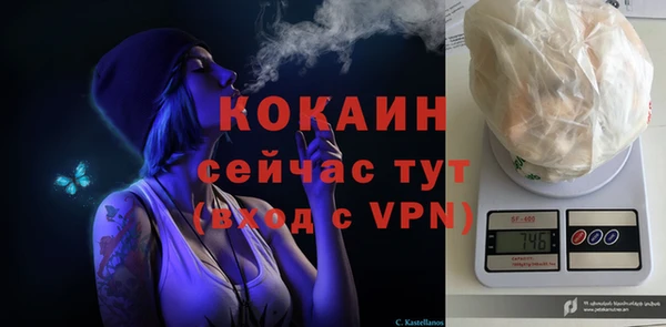 прущие крисы Корсаков