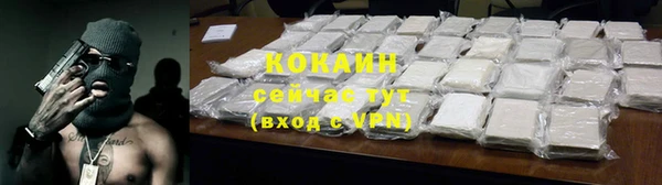 прущие крисы Корсаков