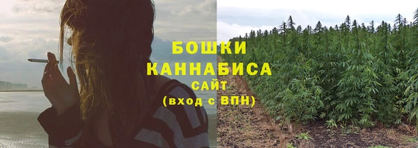 прущие крисы Корсаков