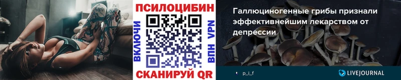 Купить закладки  Вязьма  Галлюциногенные грибы мицелий 